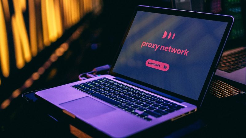 我的公网ip 分级清单：从入门到进阶的四级通关路线